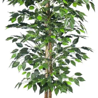 1Pack 6FT Artificial Ficus Tree with Realistic Leaves and Natural Trunk, Faux Ficus Tree with Sturdy Plastic Nursery Pot