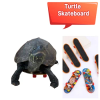 Mini Small Skateboard Parrot Puzzle Turtle Toy Finger Skate Board For Pet