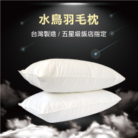 枕頭 天然水鳥羽毛枕(2入) 五星級飯店指定 羽絨枕 台灣製造 雙層布套防絨跑出【膨鬆、吸濕】