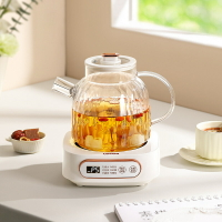 小浣熊養生壺辦公室小型多功能保溫煮茶器全自動燒水煮茶壺新款「限時特惠」