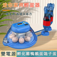 現貨 小飛碟孵蛋器 鸚鵡鳥蛋蘆丁雞孵蛋器 孵化器 家用全自動孵化機 迷你孵化箱 8枚