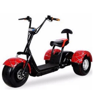 Wholesale 3 wheel Citycoco Electric Scooter 1200w Seev CE electric tricycle