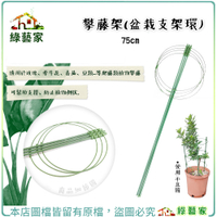 【綠藝家】攀藤架-75公分 (盆栽支架環) 爬藤架、園藝支架、瓜架、植物架、支架
