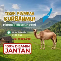 Kurban Qurban Kambing Unta Somalia - Dompet Dhuafa Unta