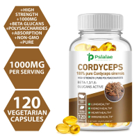 Cordyceps sinensis-bebas GMO-30/60/120 kapsul
