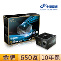 FSP 全漢 Hydro GSM PRO 650W 80PLUS金牌 電源供應器(HGS-650M)