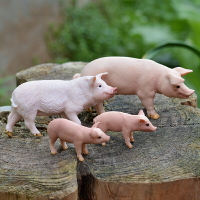 豬擺件仿真動物模型實心兒童玩具裝飾品農夫農場家禽蓄牧牲口豬圈