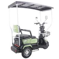 Factory Manufacture Electric Tricycles 600W Three-Wheeler with Roof for Adult Solar powered tricycle