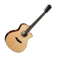 【Veelah】V2 雲杉面單系列 41吋 木吉他(原廠公司貨 商品皆有保固一年)