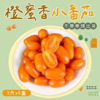 【禾鴻】橙蜜香小番茄禮盒3斤x4盒(不帶蒂頭出貨)