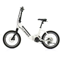 2021 new electric bicycle 20 Inch electric folding e bike