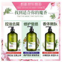 伊之藍-正品保證 魔香牛蒡根迷迭香洗髪精 清爽控油 除螨止癢 洗髮水 沐浴露 護髮素 去蟎蟲 洗頭膏 洗髮精500ml
