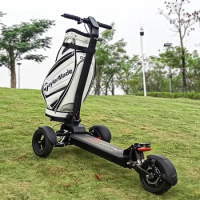 EcoRider E7-3 10 Inch Three Wheel Golf Cart Fast Adults Self-balancing Golf Electric Scooters