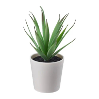 FEJKA 人造盆栽附花盆, 室內/戶外用 多肉植物, 6 公分