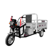 2024 Delivery of adult tricycles with heavy load of 48V/60V and 1000W electric tricycles