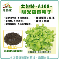 【綠藝家】大包裝A108.陽光萵苣種子35克(約35000顆)