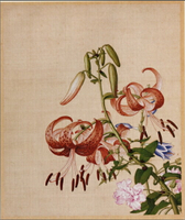 仿古畫名畫復制品清郎世寧百合花牡丹圖47-39厘米花鳥畫中國畫字