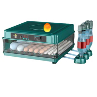 38 Eggs Incubator Egg Machine Portable Automatic Incubator Egg Hatching Machine