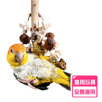 【YOYO 悠悠水族】天然果實啃咬玩具(鳥用品、鳥玩具、鸚鵡用品、鸚鵡玩具、啃咬玩具、凱克鸚鵡)