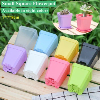 5/10Pcs Mini Square Flowerpot Thickened Small Nursery Pot Colorful Seeds Box Succulent Plant Planters Trays Garden Decoration