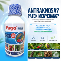 FUGO 500 SC - 500ml Fungisida Sistemik Triple Aktif Ampuh Blas Patek Antraknosa Cabai Padi Bawang Az