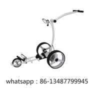2022 New product custom logo battery X2E electric golf cart scooter trolley
