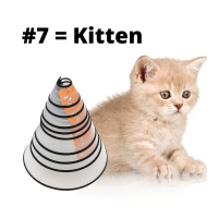 Elizabeth Collar Dog Cone Collar E Collar Cat Cone Dog Collar  Head Cover Kolar Kucing Koler Leher K