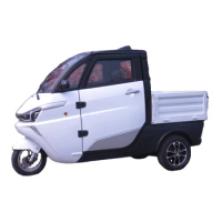 Eec Three Wheel Tricycle Cargo Trike 3 Electric 500w Home Use Bike for Adults