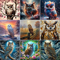 Animal Owl Paint By Number 20x30 Canvas Stickers &amp; Posters Crafts Kits For Adults Bedroom Decoration Child's Gift Wholesale 2023