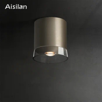 Aisilan LED Surface Mounted Downlight 7W High CRI 97 Nickel Color Double Lens Ceiling Spot Light for Living Room Hallway Bedroom