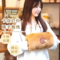 【保暖水豚】卡皮巴拉暖手抱枕(毛絨抱枕 暖暖包 睡枕 女生禮物 辦公室 睡午覺 冬天)