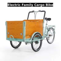 3 Wheel Europe Style Electric Cargo Bike With Disc Brake 250W Motor Family Cargo Bike For Transport Kids