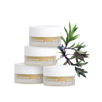 【台中店-阿原肥皂】艾草萬用青草膏4入組
