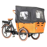factory customize 250w bafang mid drive 3 wheel electric cargo bike for food
