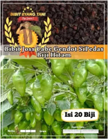 Bibit Cabe Gendot Sipedas Biji Hitam | Biji Benih Cabe Gendot | Cabe Bendot