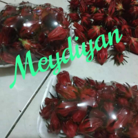 Bunga buah rosella merah segar 250 gram