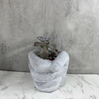 Pot Mini Kaktus Sukulen Tangan Tinju Unik Lucu Estetik Perlengkapan Taman Bahan Semen Tahan Lama Lua