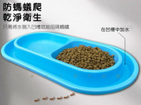 防螞蟻寵物雙碗 貓糧 防螞蟻寵物碗 貓咪碗架 環形防蟻碗 寵物用品 貓碗 分離設計寵物雙碗 斜口防蟻碗 防蟻墊 飲水器