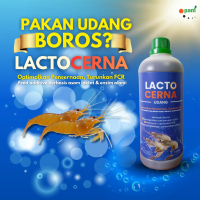 Lactocerna Probiotik Udang – Turunkan FCR, Pakan Lebih Efisien, Udang Cepat Besar