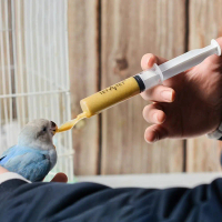 Praktikal Boleh Ditanggalkan dengan Skala Alat Pemberian Makanan Burung Plastik Sudu Pemberian Makan