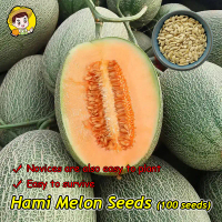 (Fast Growing 100pcs) 100% Original Fresh Hami Melon Seeds for Planting Fruits Legit Sweet Cantaloup