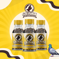JAMU merpati HERBAL STAMINA DAN ENERGI merpati kolong balap pos GENKI