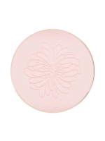SETTING POWDER REFILL