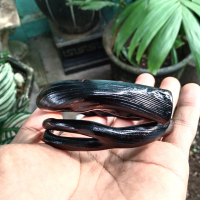 gelang akar bahar hitam