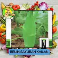 Jenis Benih Kailan Benih Sayuran