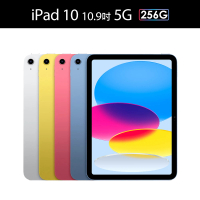 Apple 2022 iPad 10 10.9吋/5G/256G