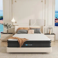 Mattress,10 Inch Memory Foam Mattress Queen Size,Hybrid Mattress in a Box with Individual Pocket Spring for Motion Isolation