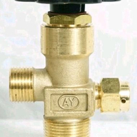 VALVE TABUNG APAR CO2 = 25KG ALAT PEMADAM API VALVE PUTAR