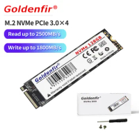 Goldenfir M.2 SSD PCIe 128GB 256GB 512GB Hard Disk M2 NVMe 1TB Internal Solid State Drive