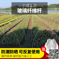 【千羽家居】全網最低價? 蔬菜棚支架 農用小拱棚支架 蔬菜溫室大棚玻璃纖維棒骨架桿 凡客YP